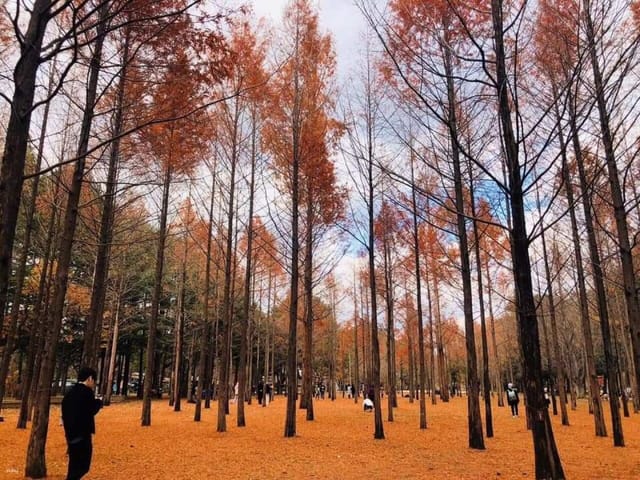 chuncheon-samaksan-lake-cable-car-nami-island-autumn-leaves-one-day-tour-from-seoul_1